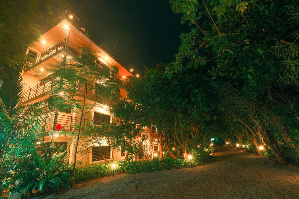 a building with lights on the side of it at night at The Canopy Guest House in Auroville