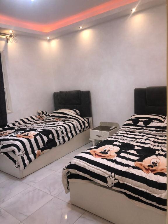 شقة غرفتين نوم + صالة صغيرة جديدة بالكامل للايجار مصر الجديدة القاهرة،  القاهرة – أحدث أسعار 2023