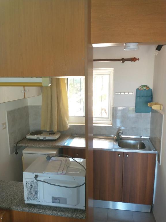 Kuchyňa alebo kuchynka v ubytovaní Summer Garden Αpartments & Studios