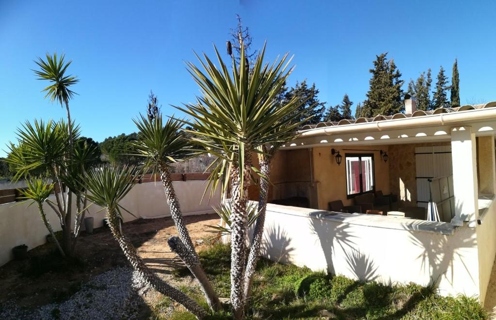 una casa con palmeras delante en Villa de plein pied 120m2, climatisée, 3 chambres, piscine privée, la campagne aux portes de NARBONNE, en Narbona