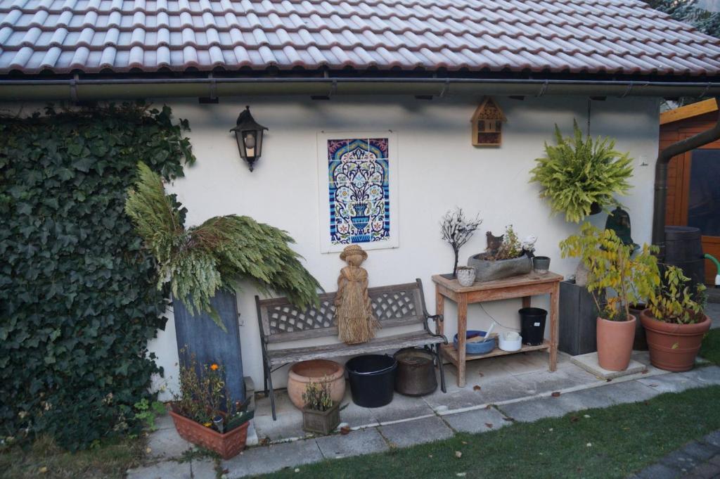 Ein Garten an der Unterkunft Konstanzer Bergblick mit Wintergarten