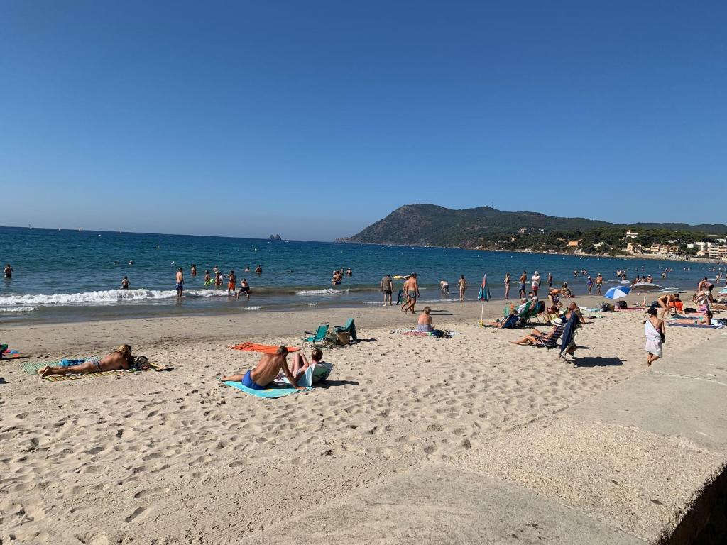 un groupe de personnes assises sur la plage dans l'établissement Plage à pied à 3 mns, à La Seyne-sur-Mer