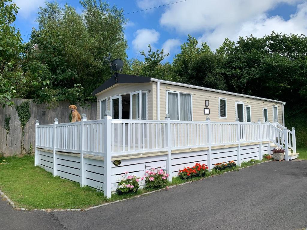 a dog sitting on a fence next to a tiny house at Mollys Retreat pet friendly three bed caravan with small garden Newquay Bay Resort Quieter area of park in Newquay
