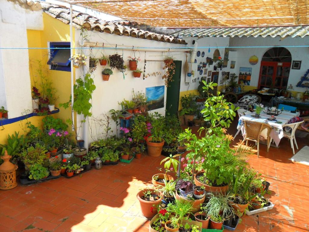 Zahrada ubytování Casa Annette