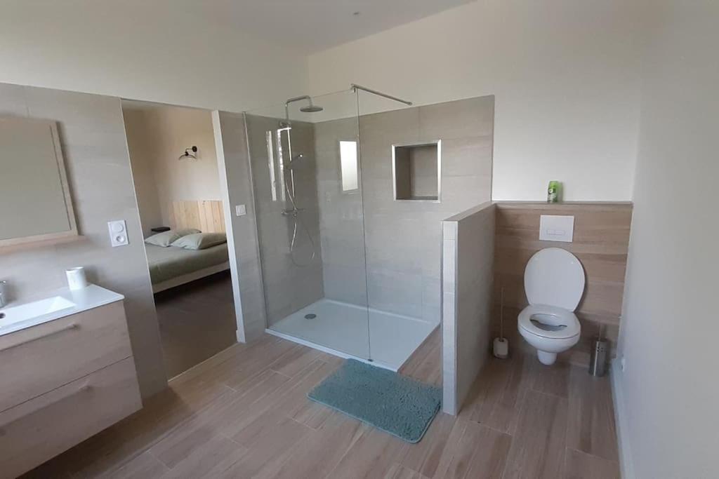 une salle de bains avec douche, toilettes et lavabo dans l'établissement LA Maison D'AGEN, à Boé