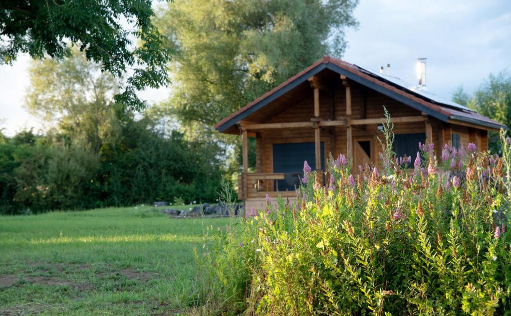 una pequeña cabaña de madera en un campo con flores en Gîte La Perhotte, en Solgne