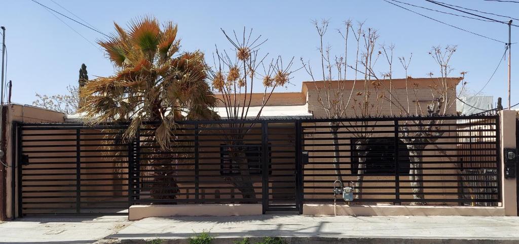 una cerca frente a una casa con una palmera en Casa en La zona Centro de la Ciudad, en Ciudad Juárez