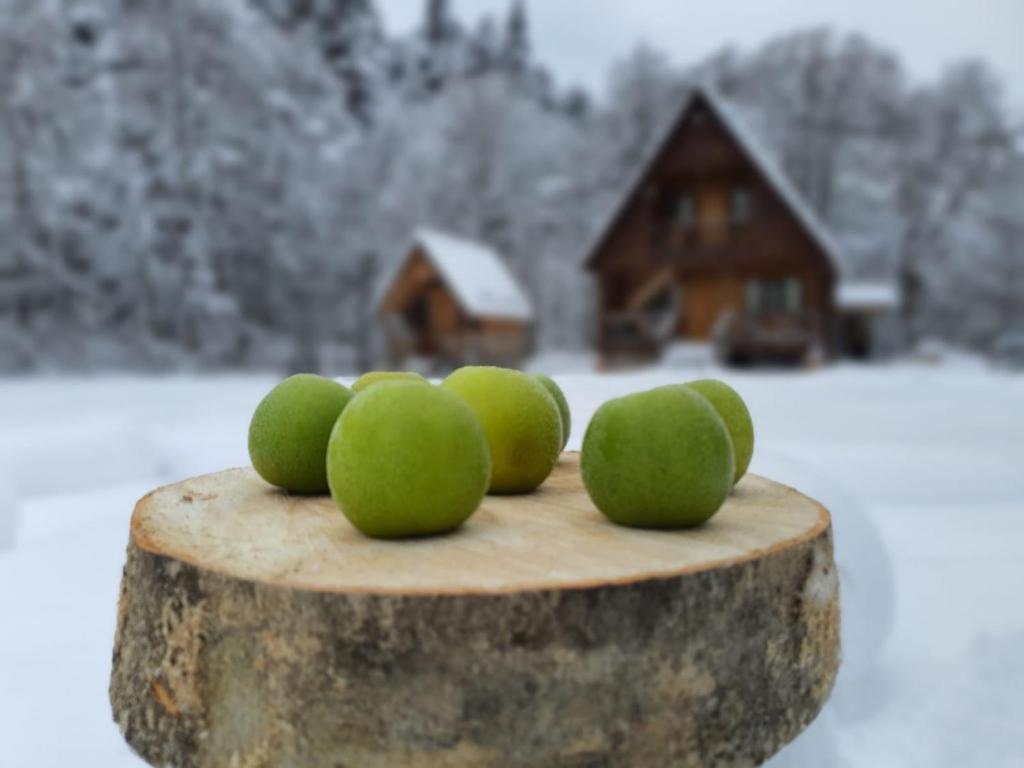 Cottage Tsivtskala in Racha, near Shaori v zimě
