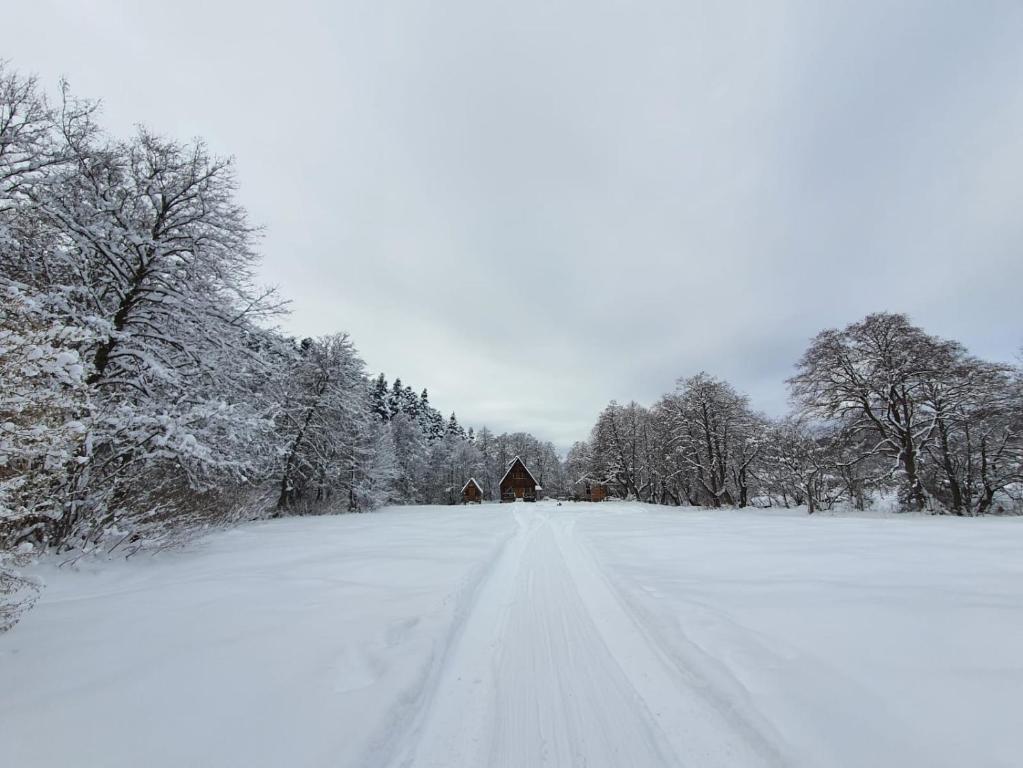 Cottage Tsivtskala in Racha, near Shaori v zimě