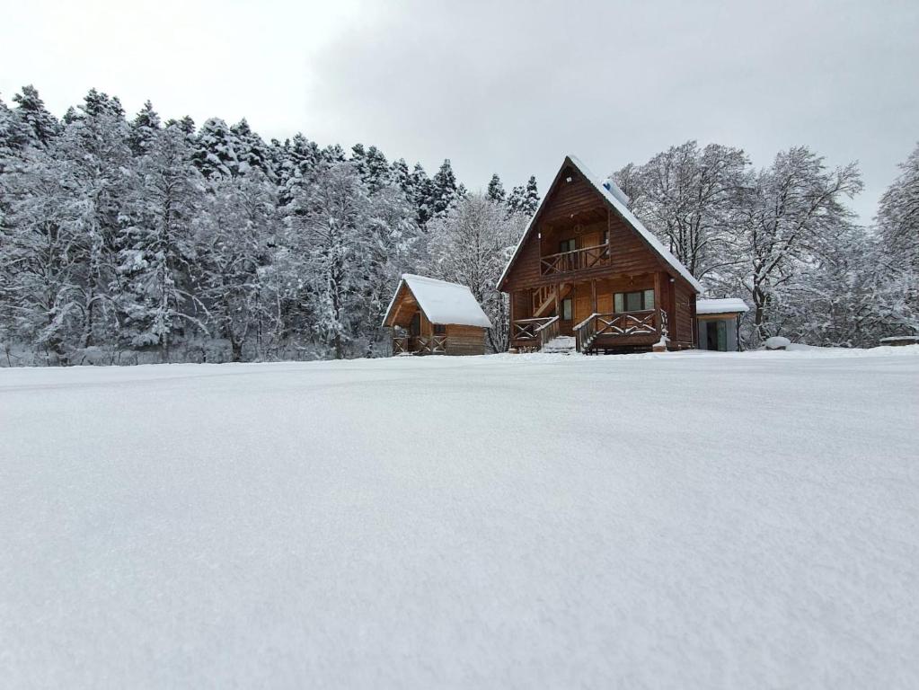 Cottage Tsivtskala in Racha, near Shaori v zimě