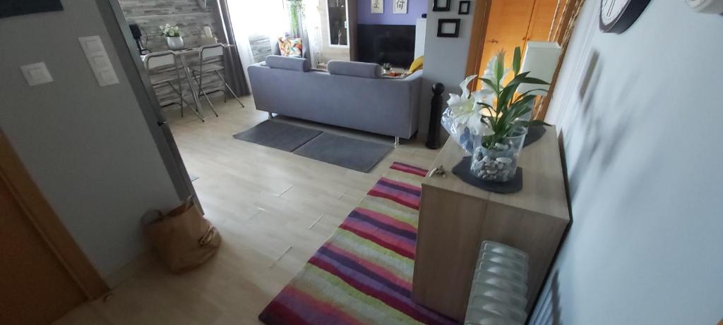 sala de estar con sofá y alfombra colorida en Mi casita en A Coruña