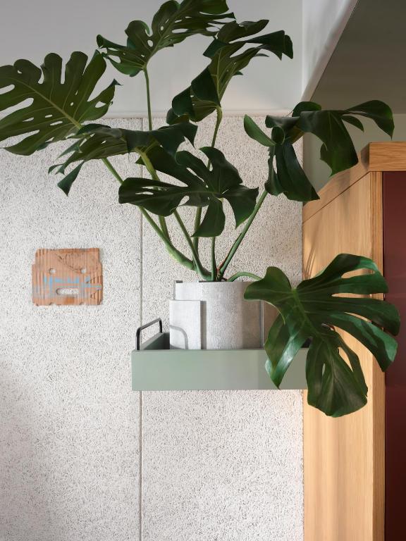 Ace Hotel Sydney - Resim 16