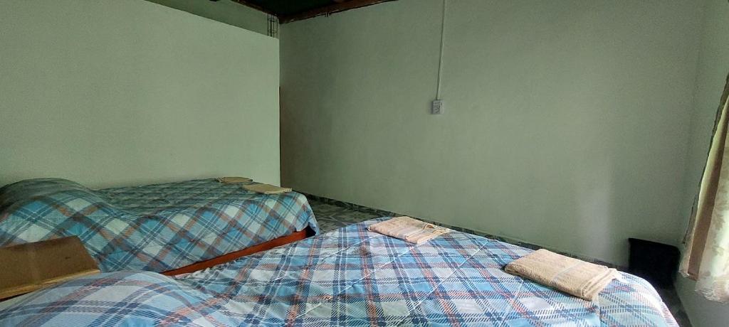 Postel nebo postele na pokoji v ubytování Cabaña Sak Ja Selva Lacandona