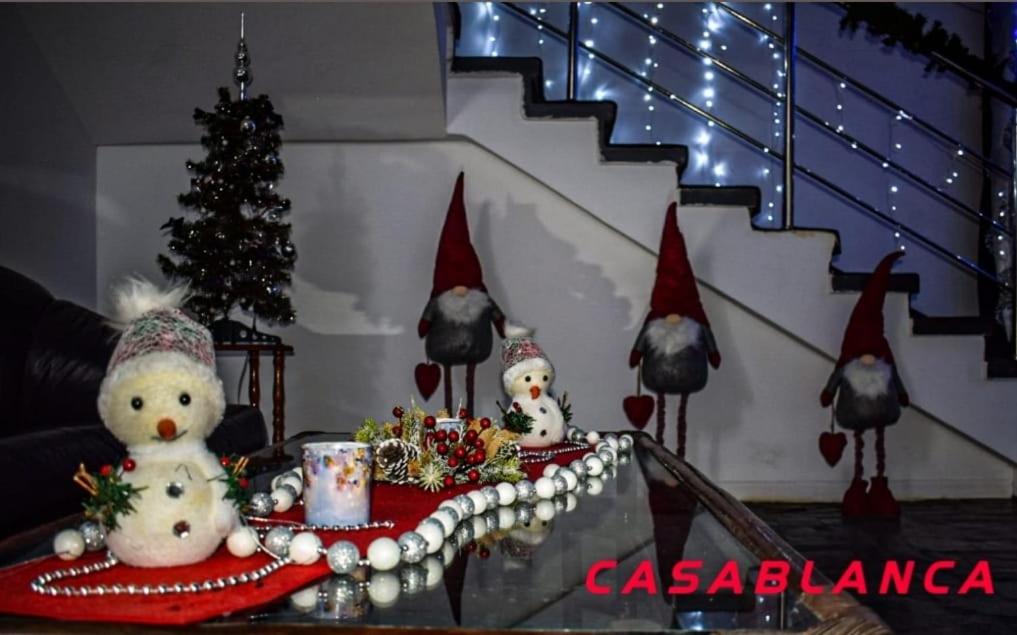 Fotografie z fotogalerie ubytování CASABLANCA v destinaci Craiova
