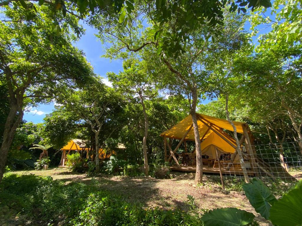 una tenda gialla nel bosco con alberi di Ecostay Glamping Rainbow Forest a Isola di Ishigaki