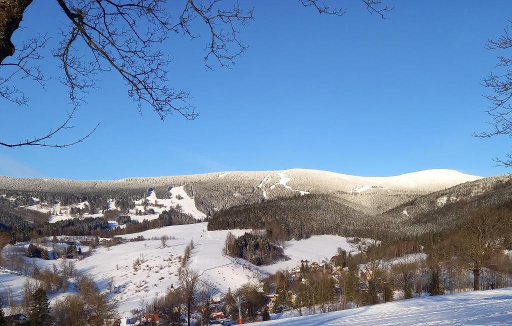 vista su una montagna innevata con alberi e montagne di Apartmán Sven a Rokytnice nad Jizerou