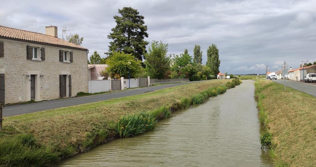 ein kleiner Fluss mitten in einer Straße in der Unterkunft Izzys in Champagné-les-Marais