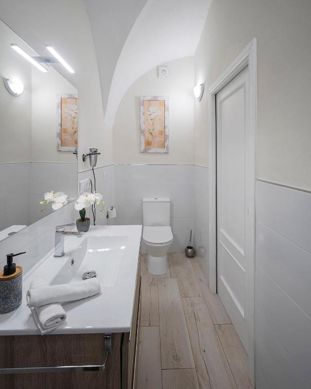Koupelna v ubytování Apartamentos Gladiador