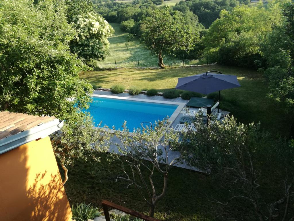 an overhead view of a swimming pool with an umbrella at House Roko in Žminj