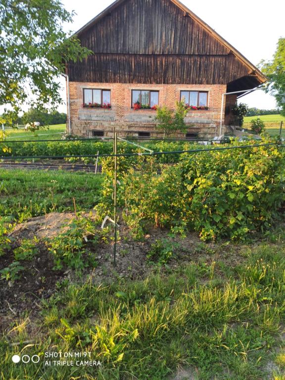 Apartmán U Milušky