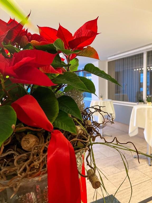 Fotografie z fotogalerie ubytování Hotel Hecht v destinaci Rheineck