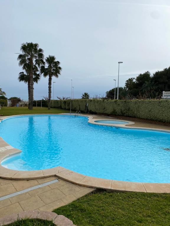 une grande piscine bleue avec des palmiers dans un parc dans l'établissement Apartamento con piscina en una preciosa playa, à Alcossebre