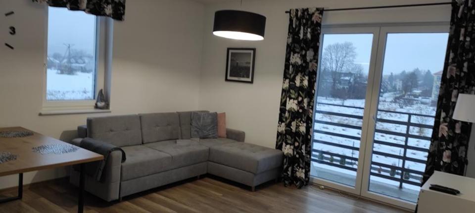 Posezení v ubytování Śpij w Kudowie Apartament i pokoje gościnne