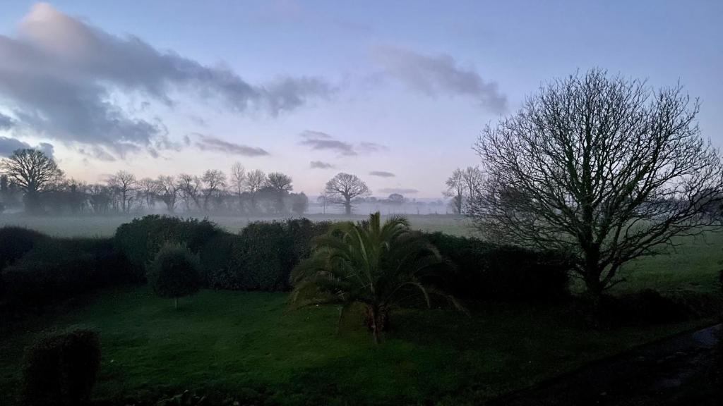 a foggy field with a palm tree in a field at Lescoat-le petit paradis in Plestin-les-Grèves