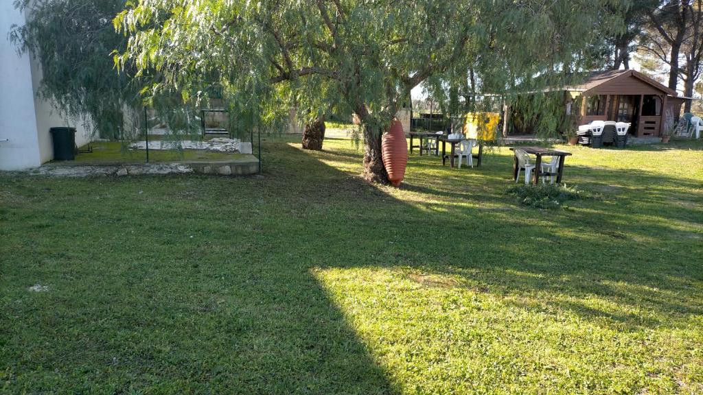 Zahrada ubytování Agriturismo Twin Tails - Sant'Isidoro
