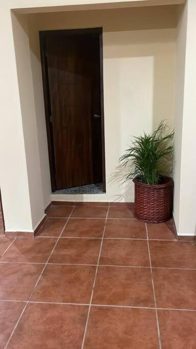 Fotografie z fotogalerie ubytování Casa SanMar cerca de la playa v destinaci Yelapa
