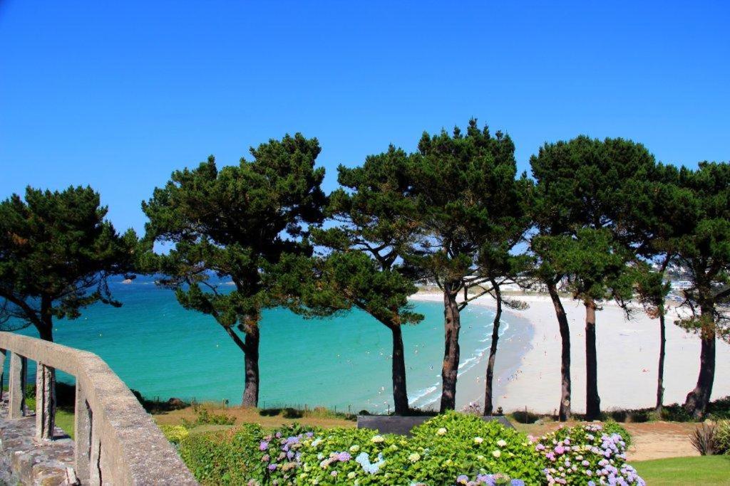 een uitzicht op een strand met bomen en de oceaan bij Grand LARGE FACE A LA PLAGE TRESTEL in Trévou-Tréguignec