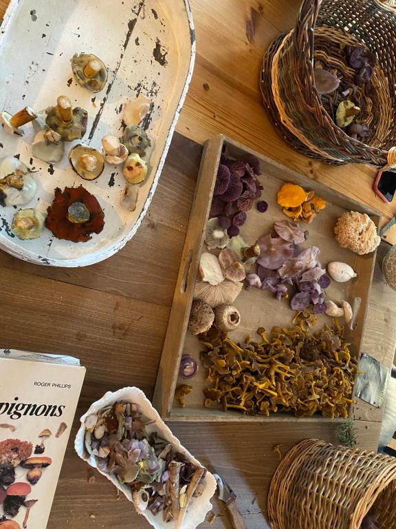 Nourriture dans la maison d'hôtes ou à proximité
