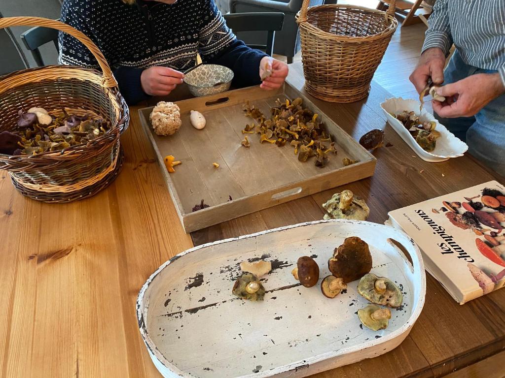 Nourriture dans la maison d'hôtes ou à proximité