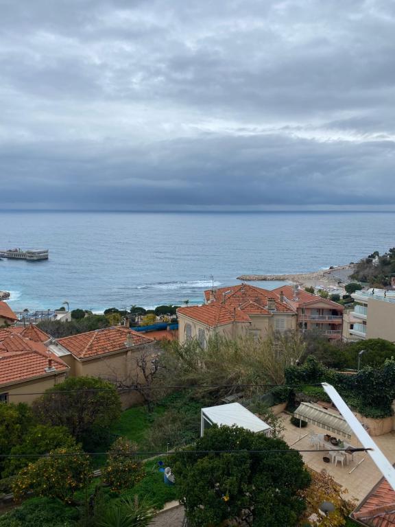 uma vista para o oceano a partir de uma cidade em Charmant deux pièces aux portes de Monaco em Cap d'Ail