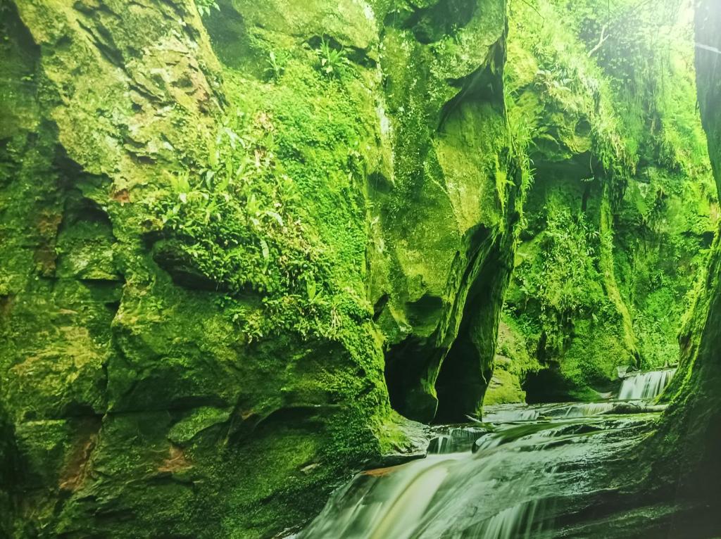 Paisaje cerca de este hostal o pensión