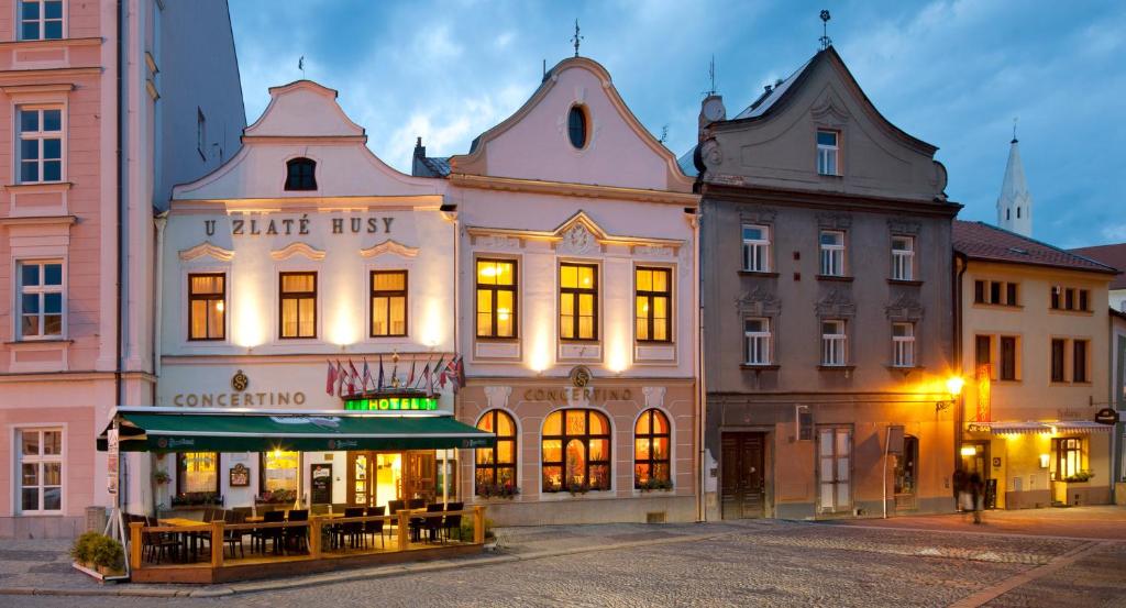 Hotel Concertino Zlatá Husa - Housity