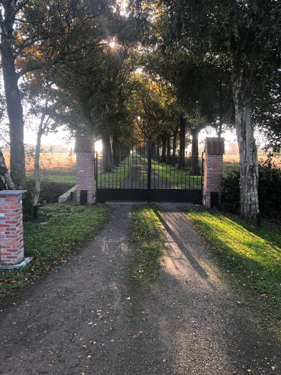 Zahrada ubytování De Reynaarthoeve