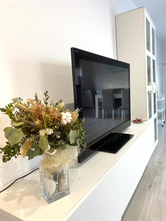TV a/nebo společenská místnost v ubytování Apartamentos el Oligo