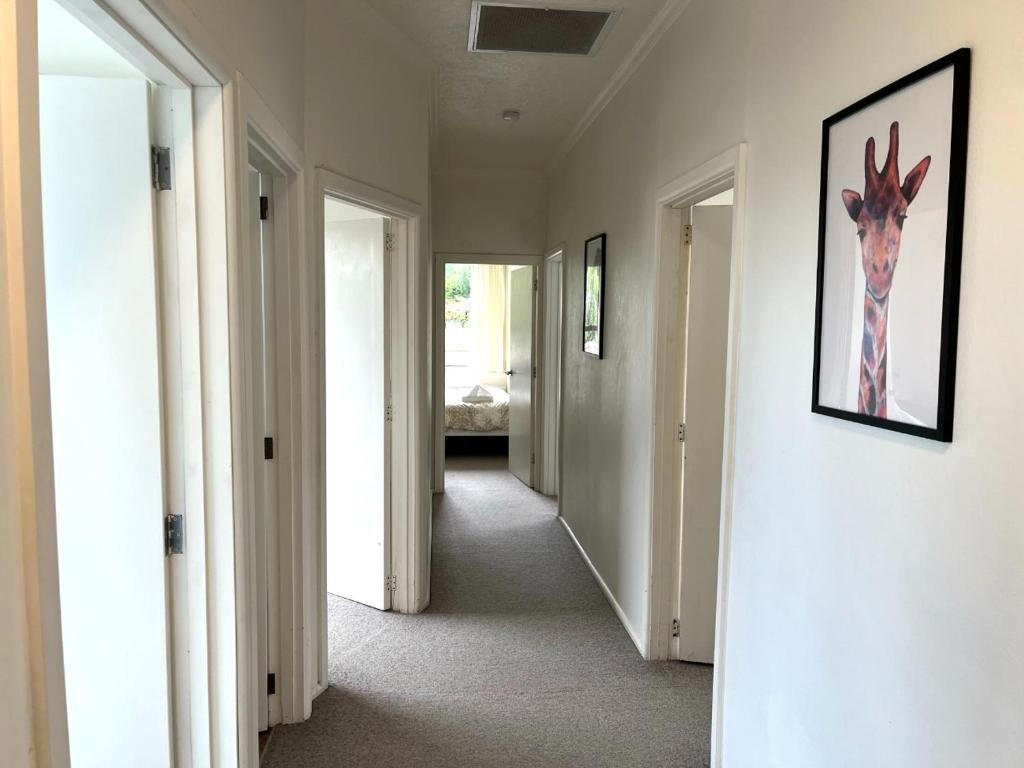 42 Scarborough Tce - Resim 11