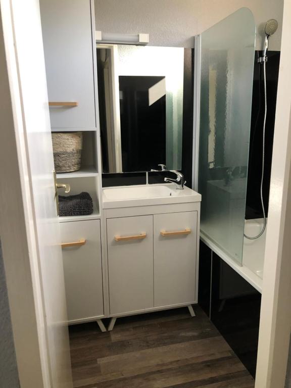 a bathroom with a sink and a mirror at Cottage 4 personnes dans domaine privé in Signy-le-Petit