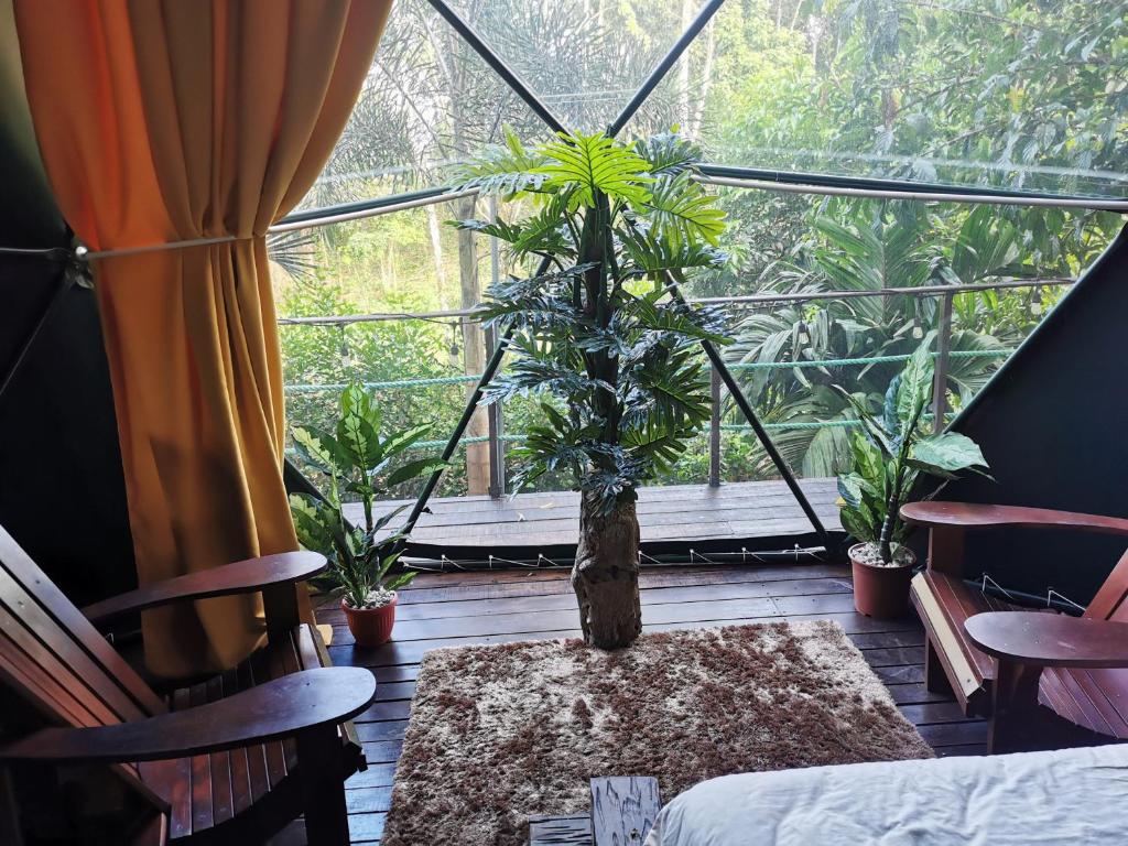 Zahrada ubytování Momotus Glamping