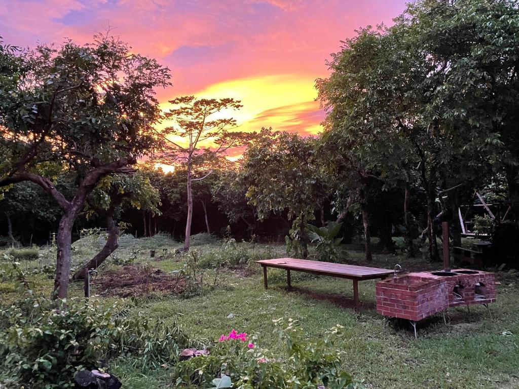 Zahrada ubytování Ecostay Glamping Rainbow Forest