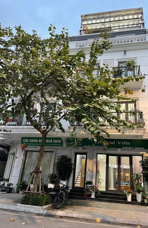 Tropical Villa Halong