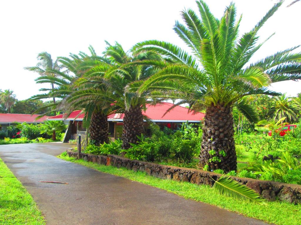 Zahrada ubytování Iorana Isla de Pascua Hotel