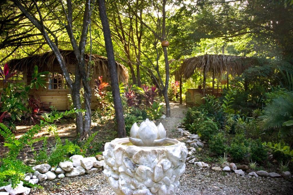 Zahrada ubytování Hotel Tropico Latino