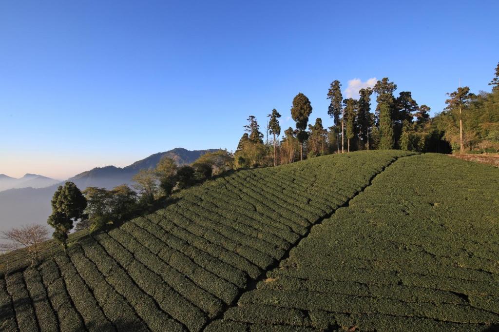 Paesaggio naturale nelle vicinanze della stanza in casa privata