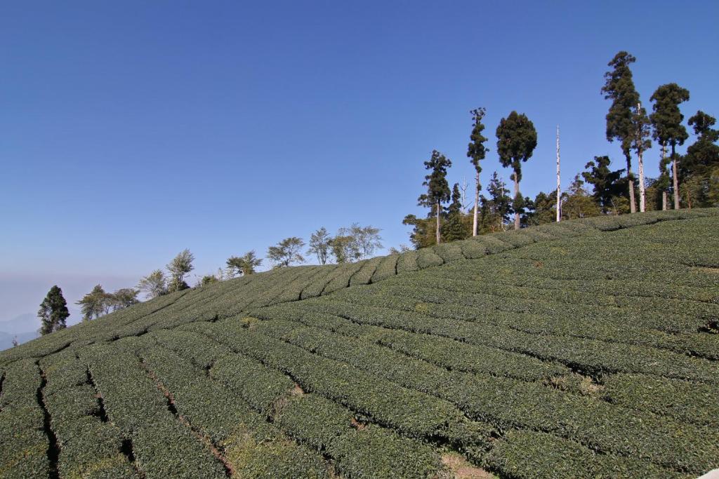 Paesaggio naturale nelle vicinanze della stanza in casa privata