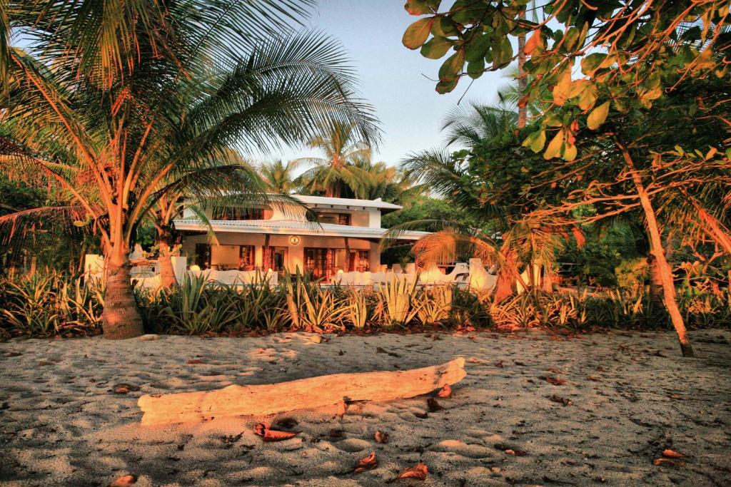 Zahrada ubytování Hotel Tropico Latino