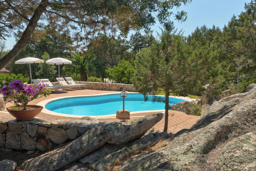Bazén v ubytování Hotel Nibaru nebo v jeho okolí