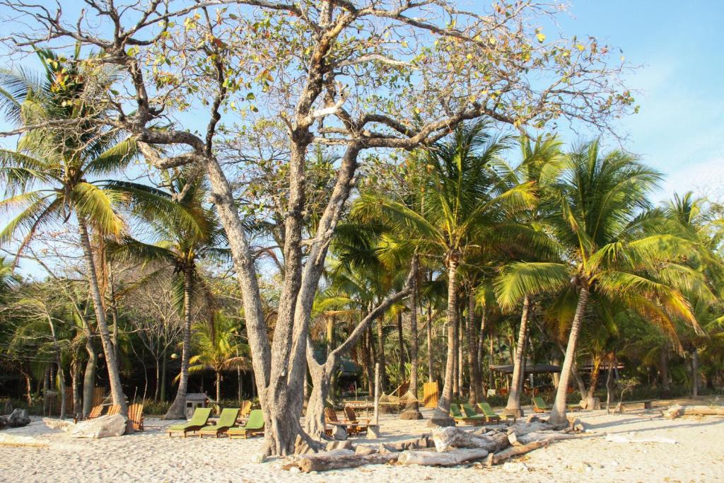 Zahrada ubytování Hotel Tropico Latino